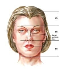 Facial proportion guidelines for aesthetic reference.