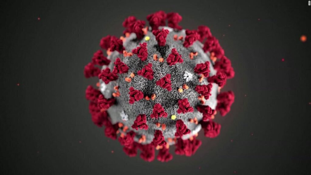 Corona virus diagram