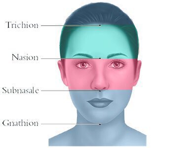 Vero Beach Facial surgery diagram