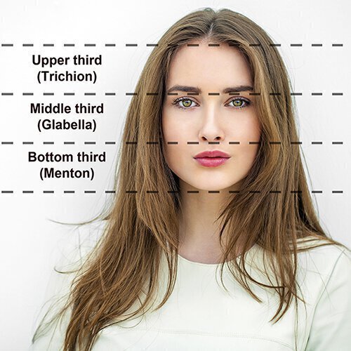 Info graphic of face divided into three parts