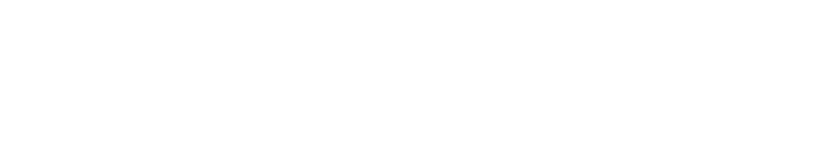 Castle Connolly Top Doctors logo